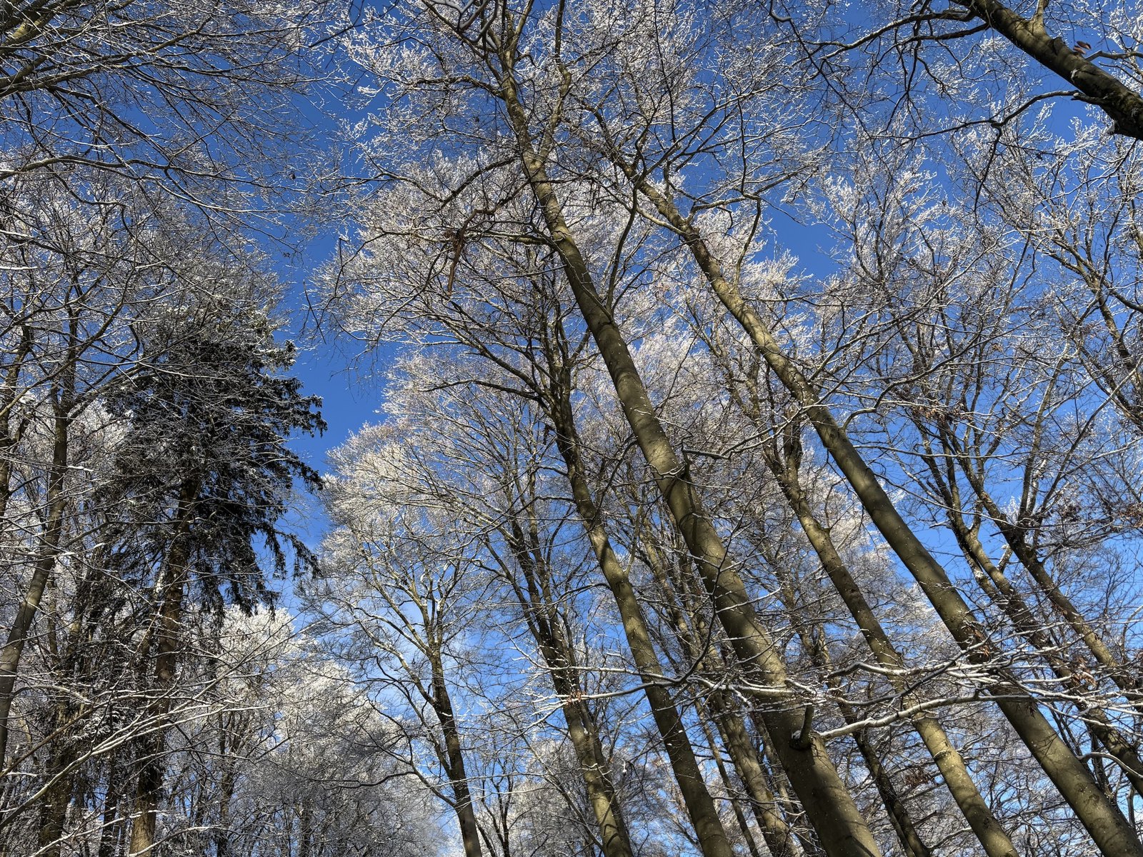 Silvester-Retreat 2026/2027 in Bad Steben – Wandern, Meditation und Schweigen