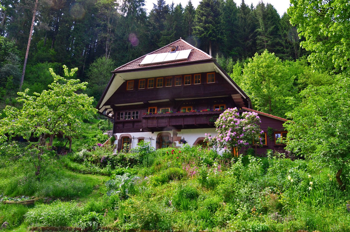 Silvester-Retreat im Wandelhaus – Breathwork, Schwitzhütte und Kakaozeremonie im Schwarzwald